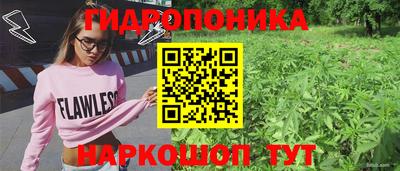 спиды Краснознаменск