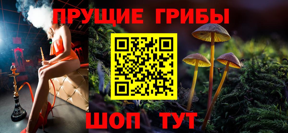Псилоцибиновые грибы Cubensis  Вход с VPN  Каменск-Уральский 
